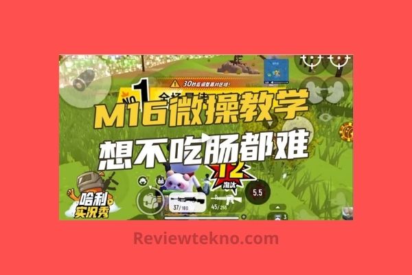 Download Sausage Man Server China APK