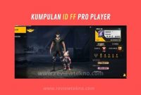 Kumpulan ID FF Pro Player